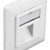 DELOCK αντάπτορας D-Sub 15 Pin σε 2x RJ45 66806, μαύρος Διάφορα Δικτύου - 4