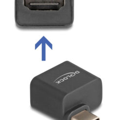 DELOCK αντάπτορας USB-C σε HDMI 64256, 4K/30Hz, μαύρος USB-C (Type-C) USB-C