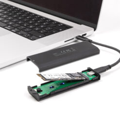 DELOCK θήκη για M.2 NVMe PCIe/SATA SSD 42031, 20Gbps, tool free, μαύρη Θήκες & Trays Σκληρών Δίσκων Θήκες & Trays Σκληρών Δίσκων 2