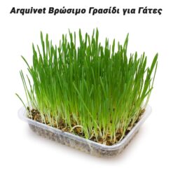 Arquivet Βρώσιμο Γρασίδι για Γάτες 100gr Είδη Κατοικιδίων PowerFix Group Arquivet Βρώσιμο Γρασίδι για Γάτες 100gr Είδη Κατοικιδίων Είδη Κατοικιδίων